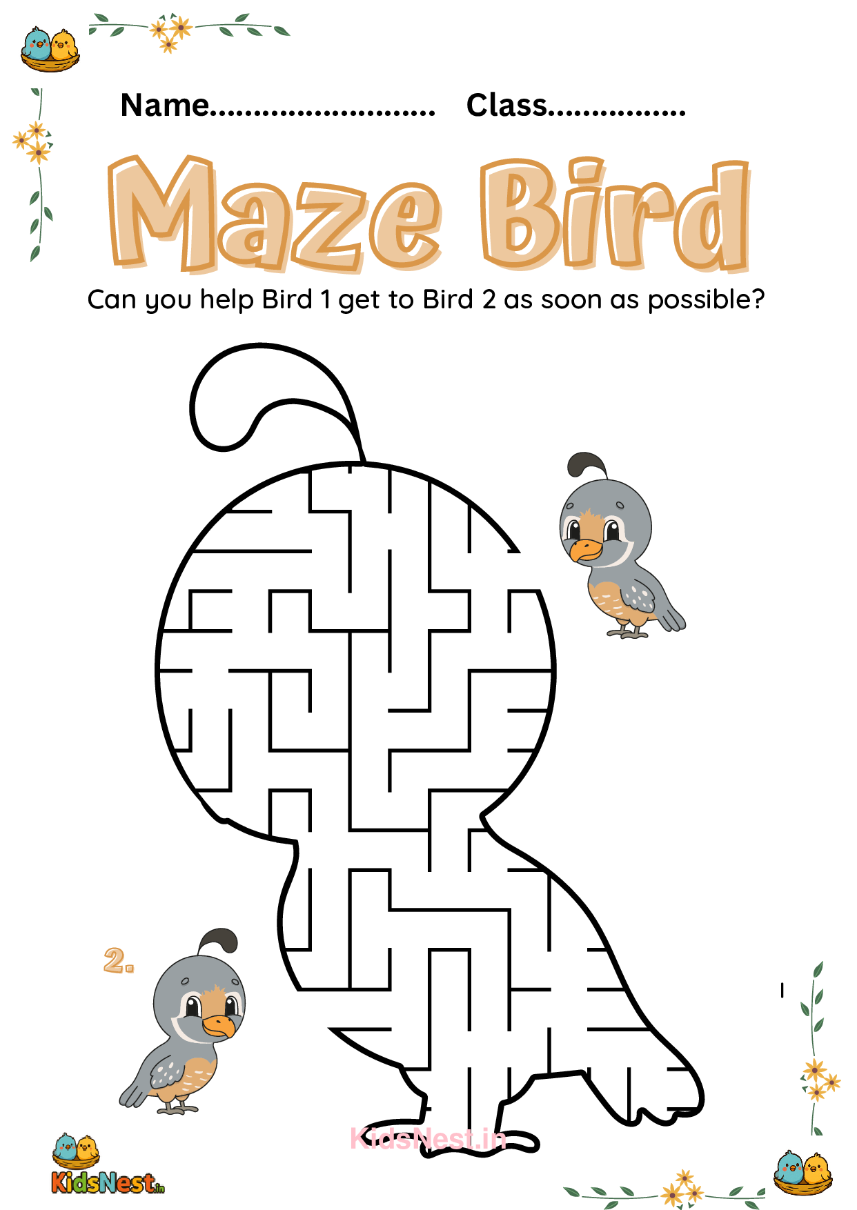 Maze Bird Printable Activity for Kids | Fun Worksheet